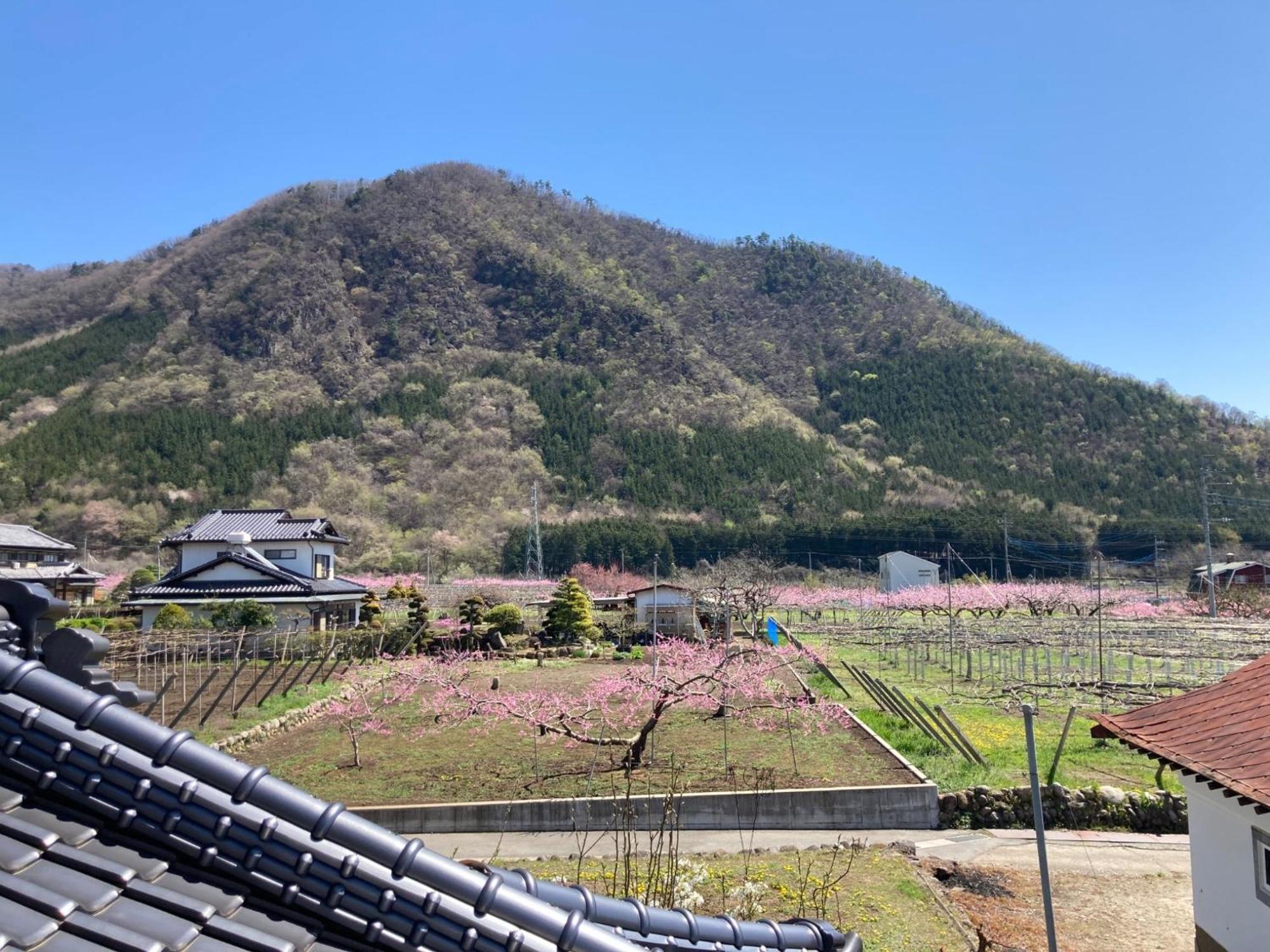 B&B Ladies Only Grape Mama Peach Room - Vacation Stay 11708 Koshu Экстерьер фото